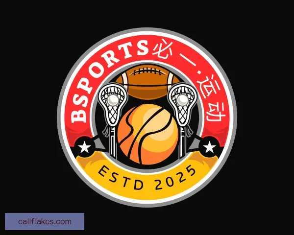 了解bsport体育在线官网
